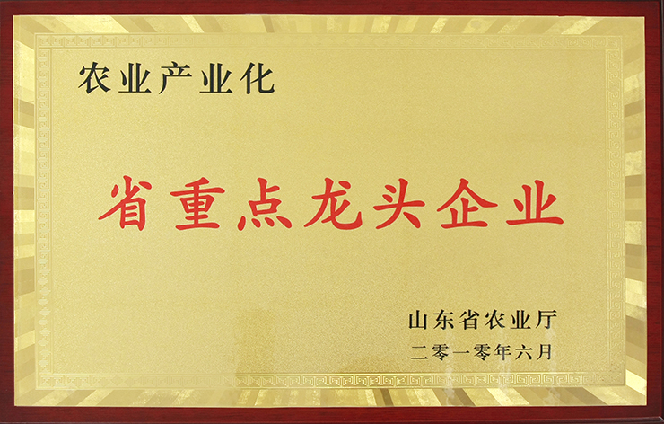 農業(yè)產業(yè)化省重點龍頭企業(yè)
